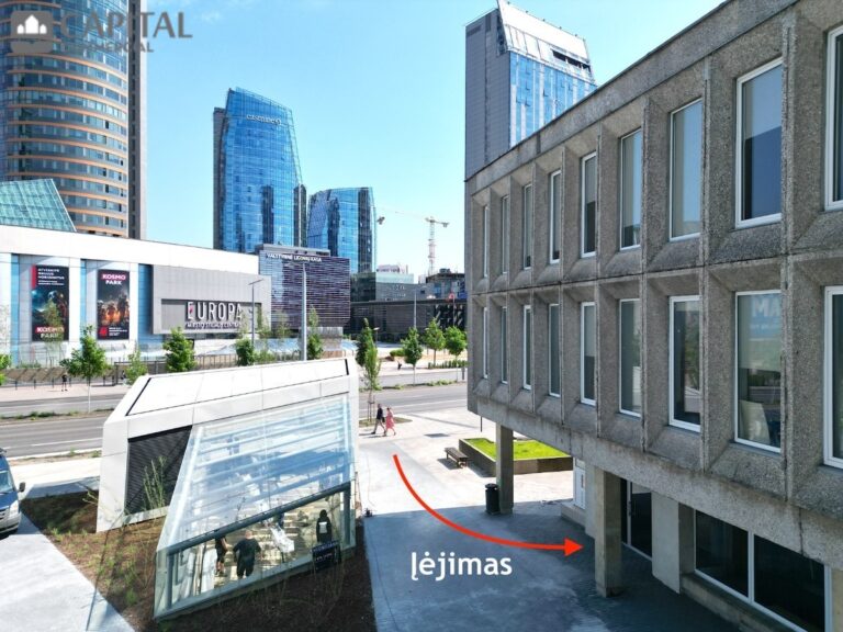 for export 2 768x576