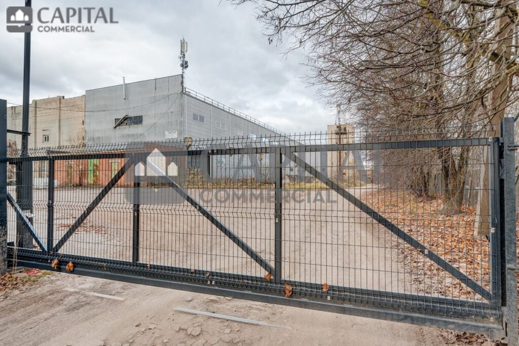 for export 1 6 1024x683