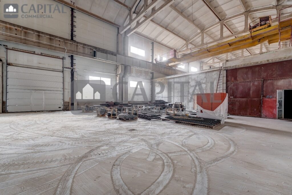 for export 10 5 1024x683