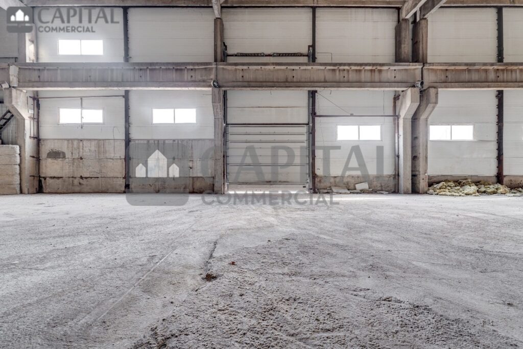 for export 11 3 1024x683