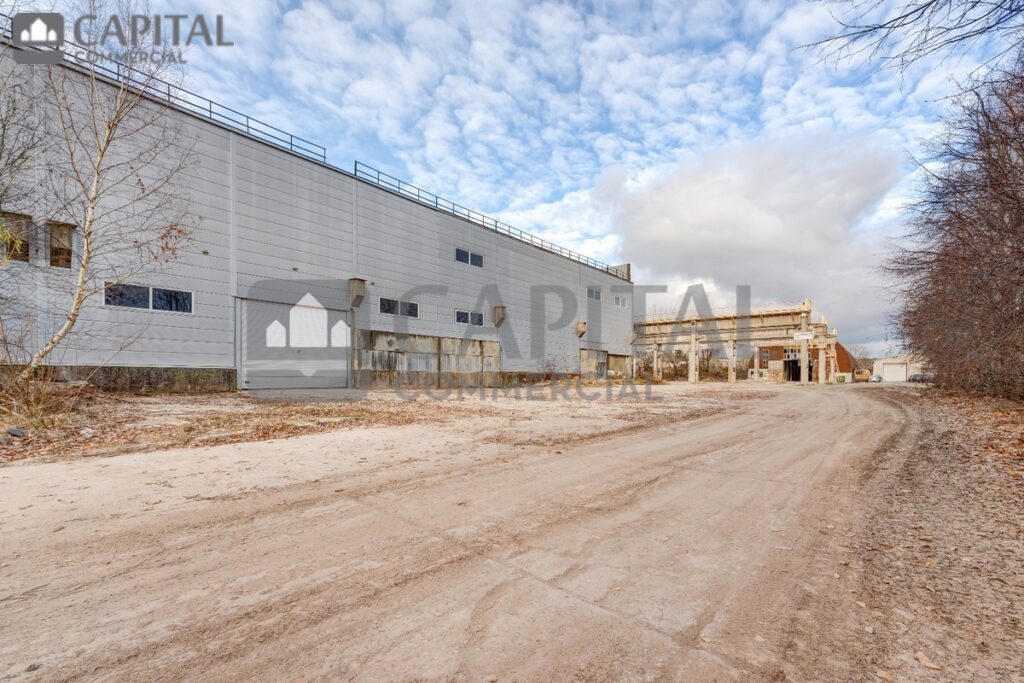 for export 13 3 1024x683