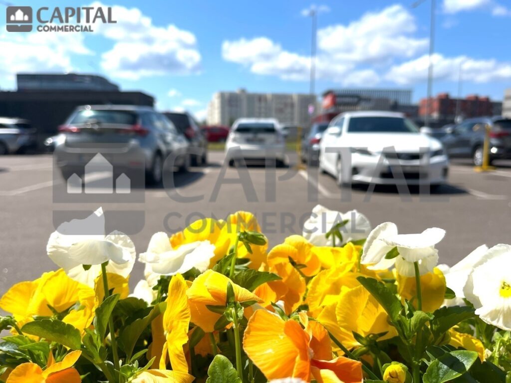 for export 14 2 1024x768