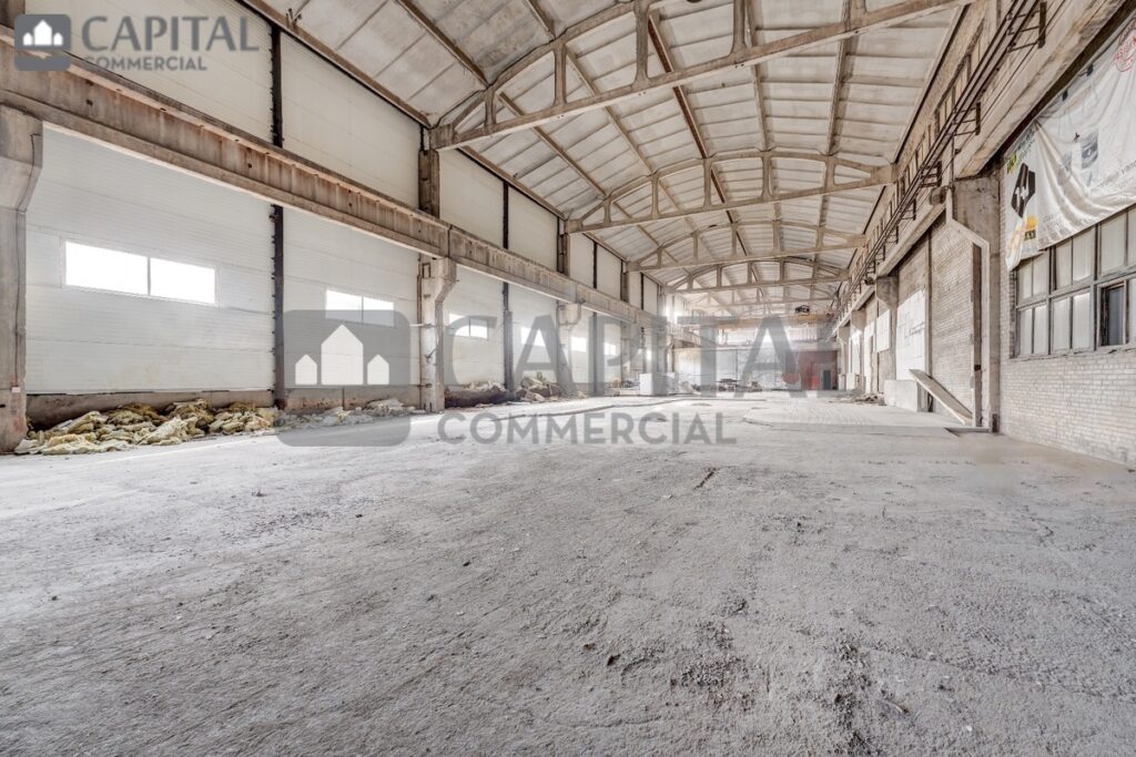 for export 15 3 1024x683