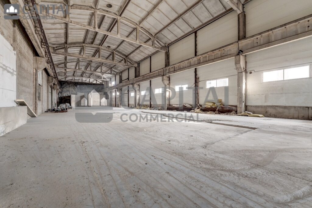 for export 16 3 1024x683