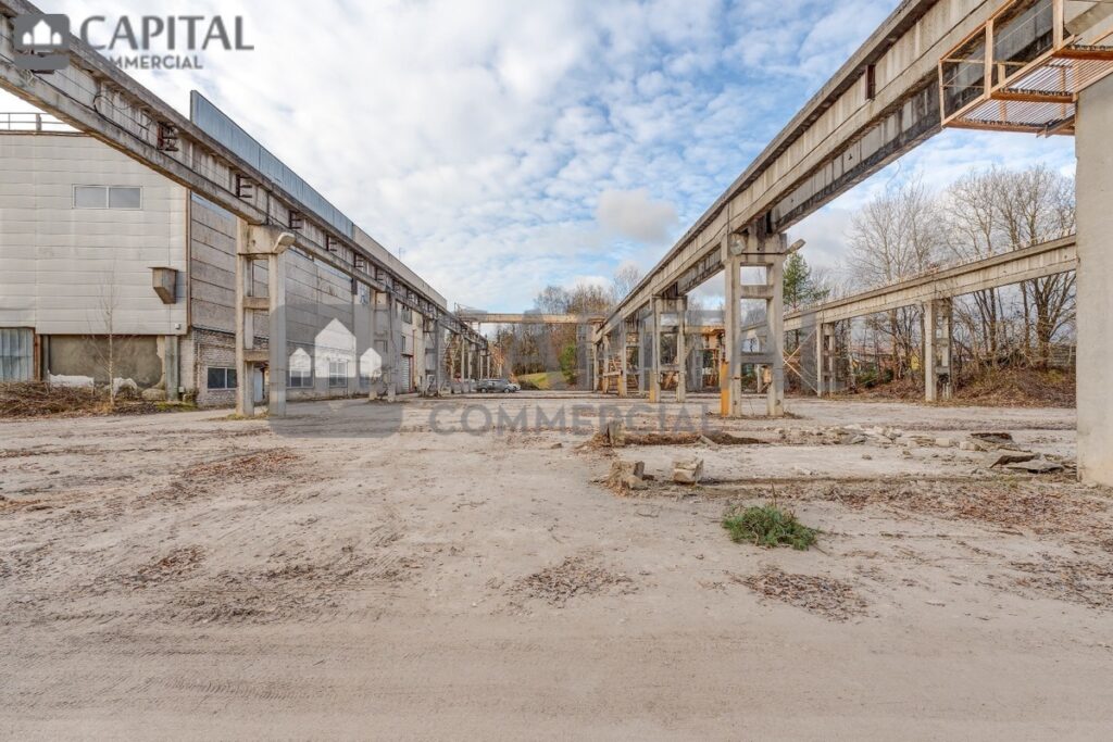 for export 19 2 1024x683