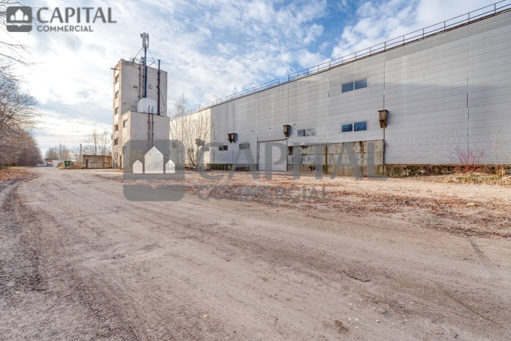 for export 2 6 1024x683