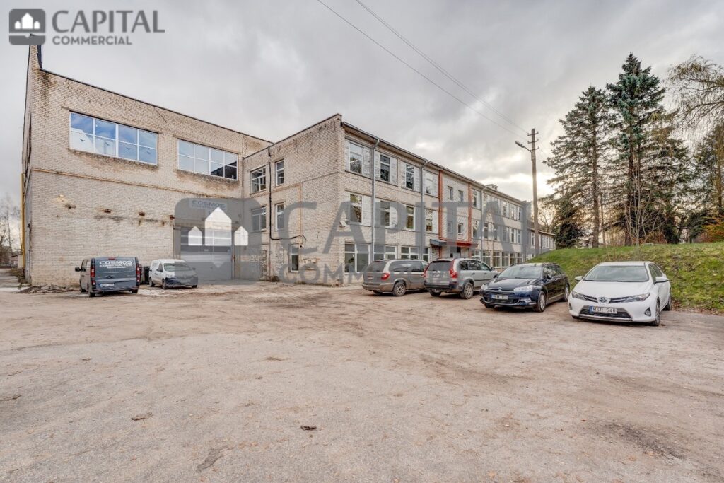 for export 22 1 1024x683