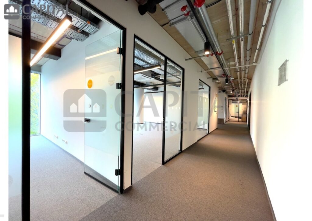 for export 27 1024x727