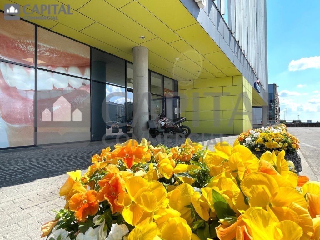 for export 3 5 1024x768