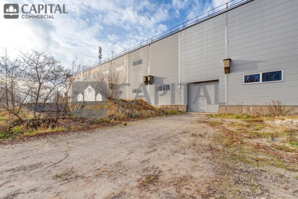 for export 3 6 1024x683