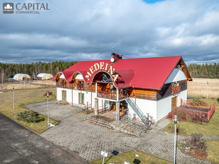 for export 3 768x575