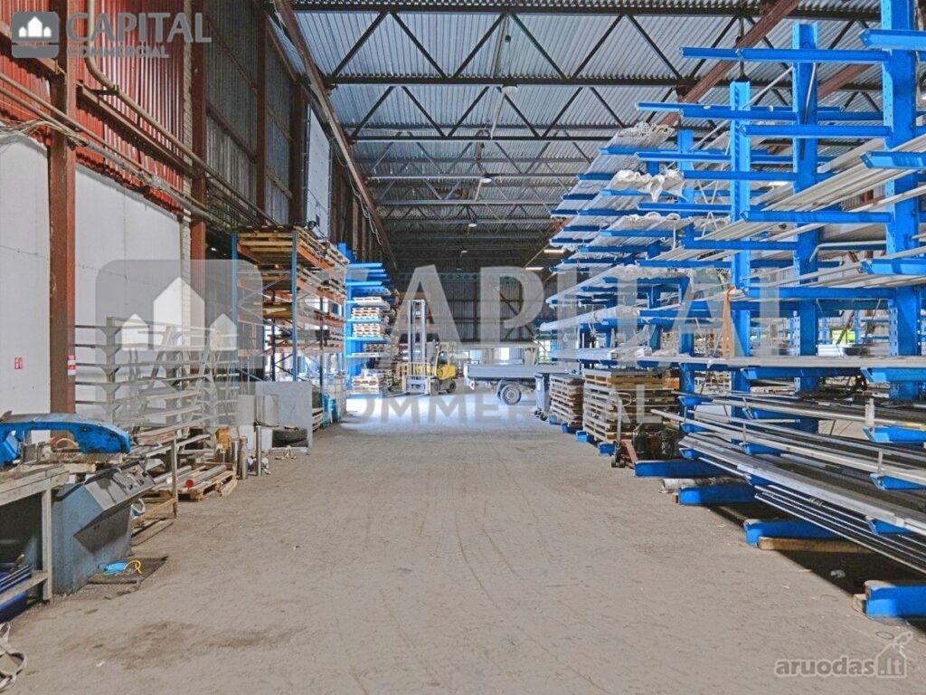 for export 3 9 1024x768