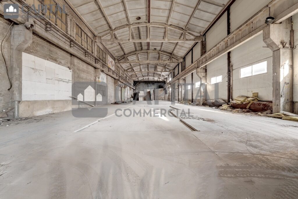 for export 4 6 1024x683