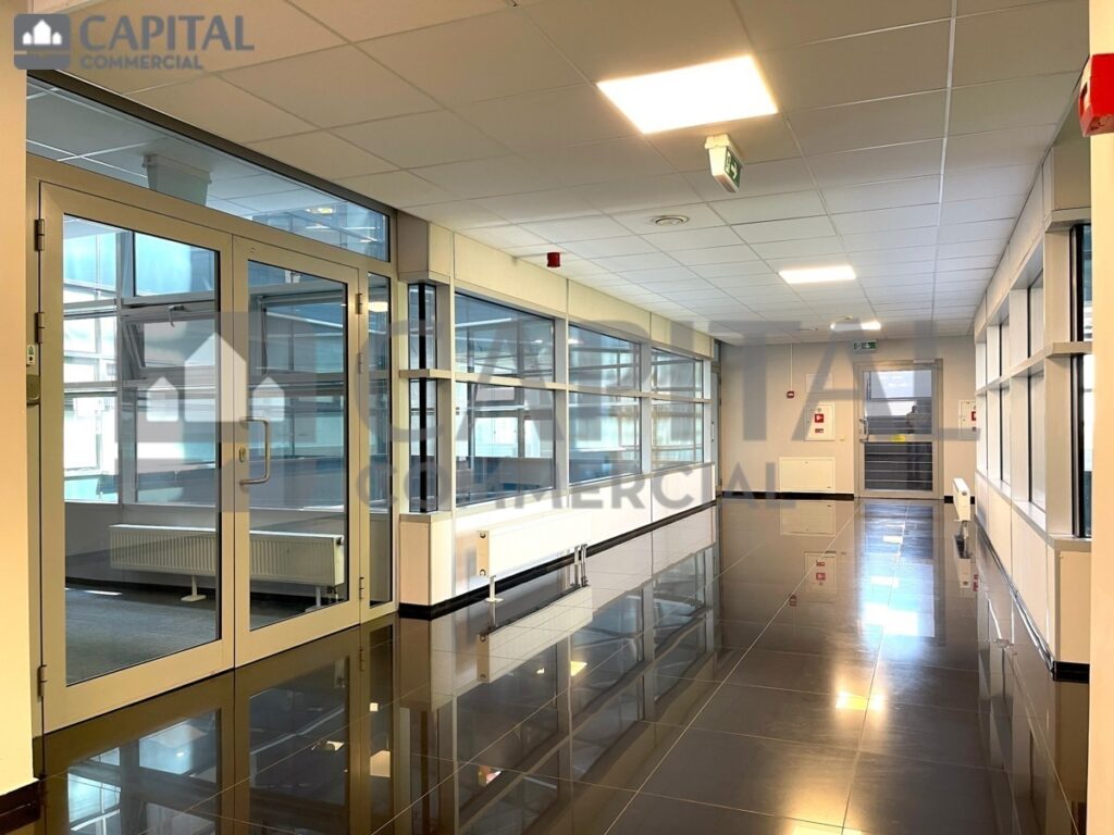 for export 5 5 1024x768