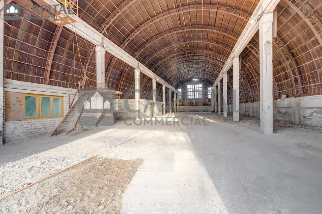 for export 5 6 1024x683