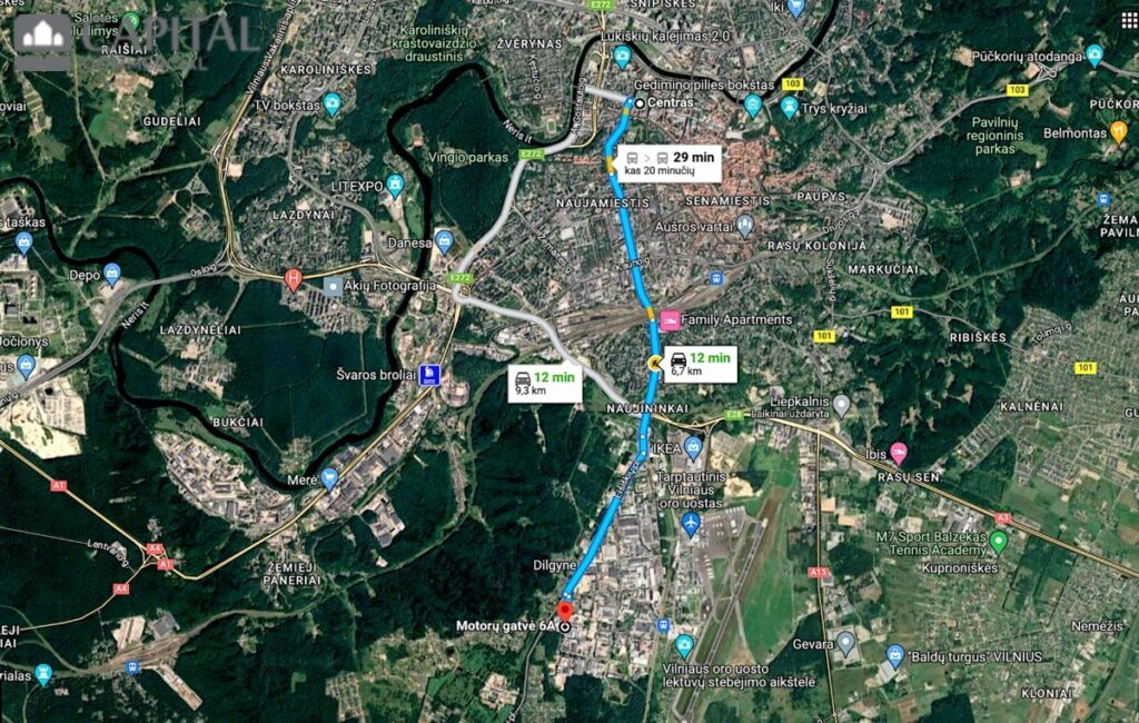 for export 5 8 1024x650