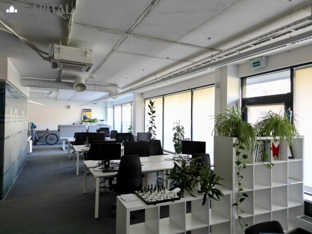 for export 6 3 1024x768