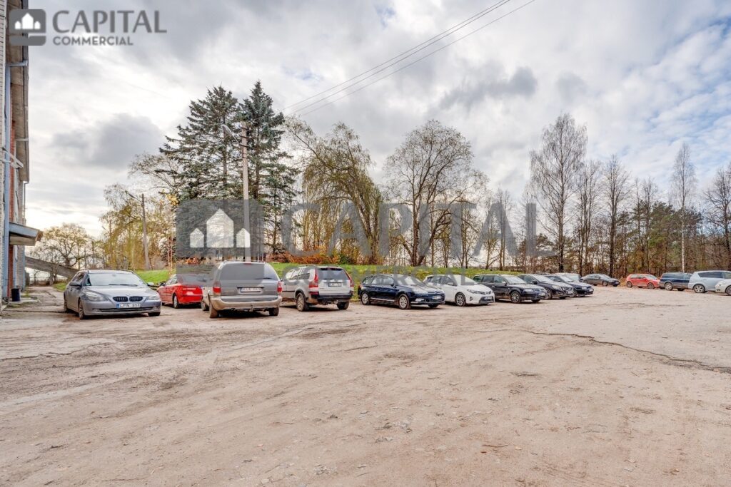 for export 6 5 1024x683