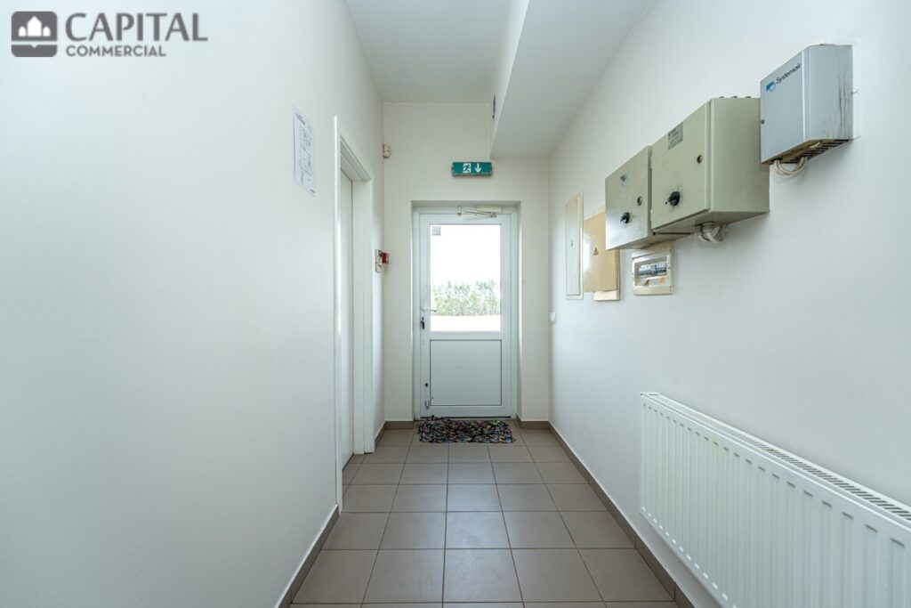 for export 8 1024x683