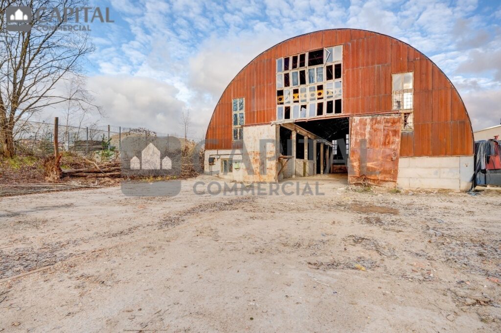 for export 9 5 1024x682